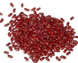 Haricots tarbais Haricots tarbais