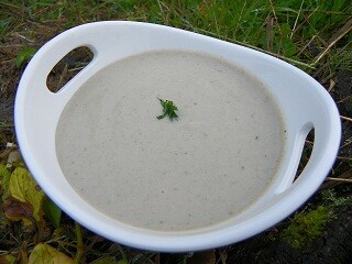Crème de champignons Crème de champignons