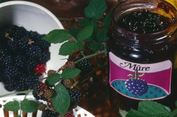 Confiture de mûres Confiture de mûres