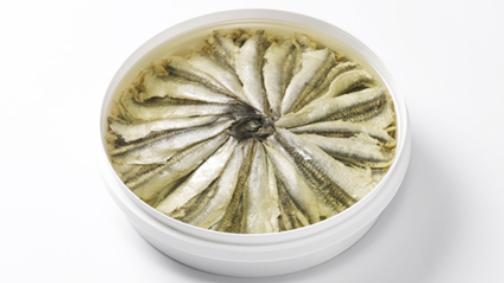 Filets d'anchois à l'huile Filets d'anchois à l'huile