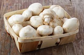 Champignons frais Champignons frais