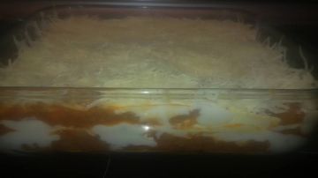 Lasagne bolognaise Lasagne bolognaise