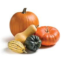 Courges (butternut, potimarron, spaghetti) Courges (butternut, potimarron, spaghetti)