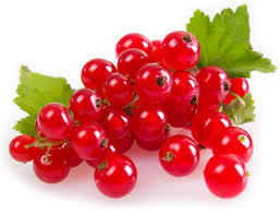 Groseilles Groseilles