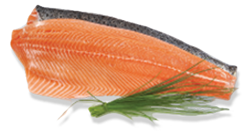 Saumons Saumons