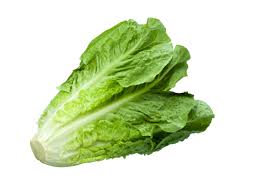 Salade romaine