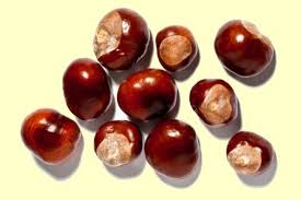 Marrons Marrons