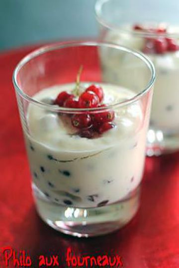 Mousse fraîche de yaourt aux groseilles Mousse fraîche de yaourt aux groseilles
