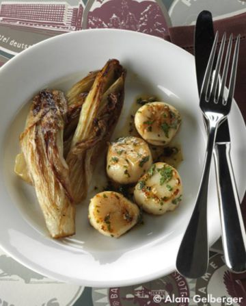 Saint-jacques persillées, endives braisées Saint-jacques persillées, endives braisées