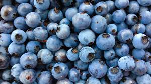 Bleuets Bleuets