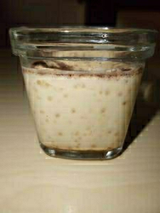 Crème caramel yaourtière SEB