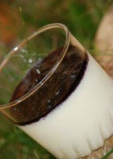 Panna cotta et sa compotée de myrtilles Panna cotta et sa compotée de myrtilles