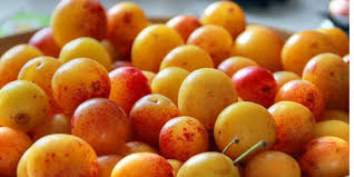 Mirabelles Mirabelles