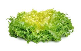 Salade frisée Salade frisée
