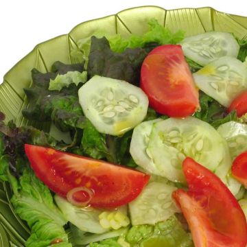 Salade de laitue, concombres et tomates