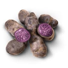 Vitelotte Vitelotte