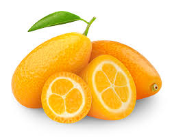 Kumquat Kumquat